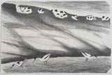 Avocets (Winter). 2026