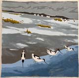 Avocets (Winter). 2026